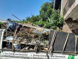 Best Hoarding Cleanup  in Homestead Valley, CA